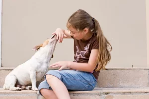 Pet end-of-life care options