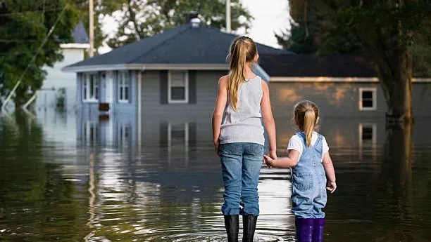 Web Design Solutions to Optimize Your Flood Zone Home Remodeling Business